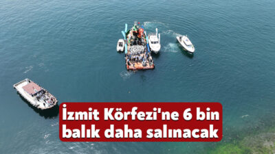 İzmit Körfezi’ne 42 bin balık salan Büyükşehir, 24 Ekim’de 6