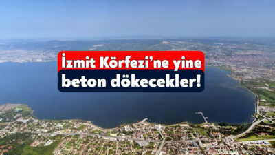 Beşiktaş Tersane Şirketi tarafından Yalova’nın Altınova ilçesine iskele genişlemesi için