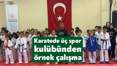 Körfez Belediyesi Gençlerbirliği Spor Kulübü, Türkiye şampiyonası öncesinde Gelişim Ligi
