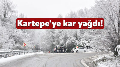 Kocaeli’de etkili olan soğuk ve yağışlı hava, kar getirdi. Kocaeli'nin