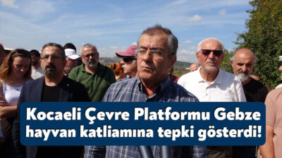 Kocaeli Çevre Platformu Gebze’deki hayvan katliamına ilişkin sorumluların cezalandırılması için