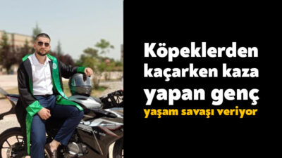 Kocaeli Üniversitesi'nde köpeklerin saldırısından kaçarken kontrolünü kaybettiği motosikleti ile trafik