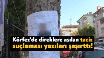 Kocaeli'nin Körfez ilçesinde direklere asılan taciz suçlamalarıyla dolu yazılar mahalleliyi