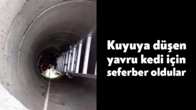 Kocaeli'nin Çayırova ilçesinde 10 metrelik kuyuya düşen yavru kedi, itfaiye