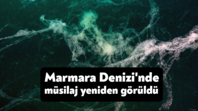 Bandırma Onyedi Eylül Üniversitesi Denizcilik Fakültesi Öğretim Üyesi Prof. Dr.