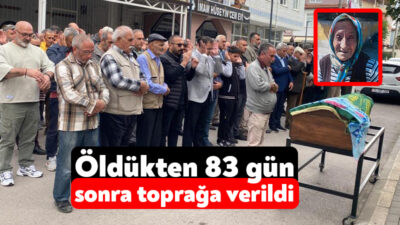 Kocaeli'nin Derince ilçesinde 83 gün önce TEM Otoyolu kenarındaki yeşillik