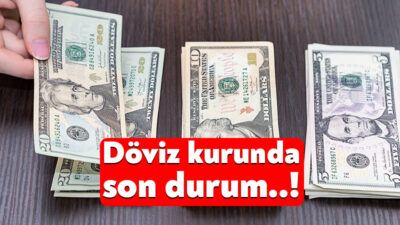 Döviz kurları, küresel piyasalarda yaşanan belirsizlikler ve yurt içindeki ekonomik