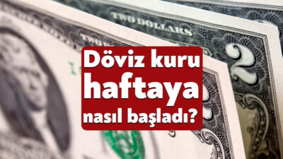 Döviz kuru, son günlerde küresel ve yerel ekonomik gelişmelerin etkisiyle