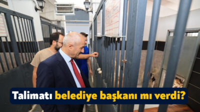 Gebze Belediyesi Sokak Hayvanları Tedavi, Rehabilitasyon ve Eğitim Merkezinde sokak