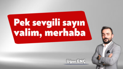 Bir kentin mutluluğu sadece belediye başkanlarının elinde değildir. Valiler de