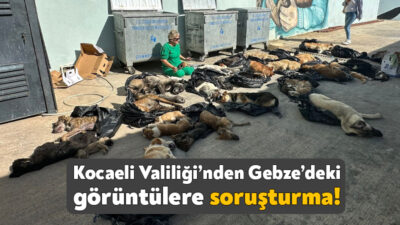 Kocaeli Valiliği, Gebze Belediyesi Sokak Hayvanları Tedavi Rehabilitasyon ve Eğitim