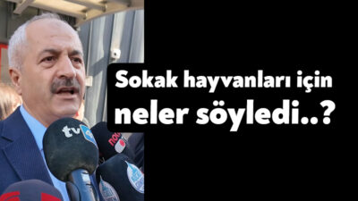 Gebze İlçesinde bulunan Sokak Hayvanları Rehabilitasyon Merkezi'nde 45 hayvanın ölü