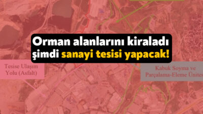 Kastamonu Entegre ağaç SAN. ve TİC. A.Ş. Gebze Şubesi bir