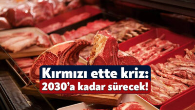 Tarım ve Orman Bakanlığı 2025 yılı bütçe teklifi, kırmızı et