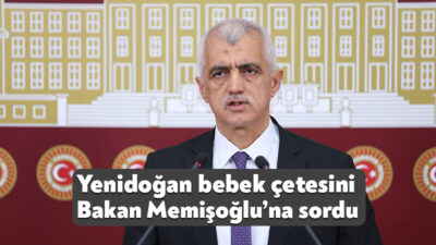 DEM Parti Milletvekili Ömer Faruk Gergerlioğlu yeni doğan bebeklerin ölümüne
