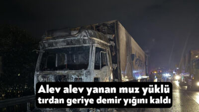 Anadolu Otoyolu Kocaeli geçişinde alev alev yanan muz yüklü tırın