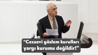 DEM Parti Kocaeli Milletvekili Ömer Faruk Gergerlioğlu, meclis genel kurulunda