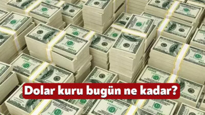 Son dönemde döviz kurlarında yaşanan dalgalanmalar, hem yerel hem de