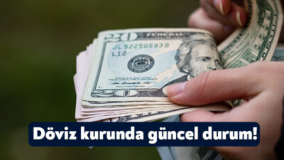 Türkiye’deki vatandaşlar ve yatırımcılar iç ve dış piyasayı etkileyen döviz