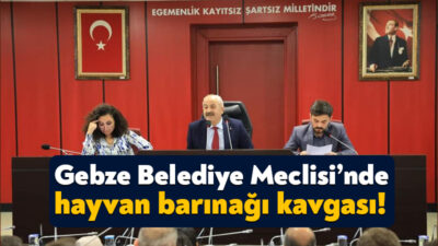 Gebze Belediyesi Kasım Ayı Meclis Toplantısı Gebze Belediye Başkanı Zinnur
