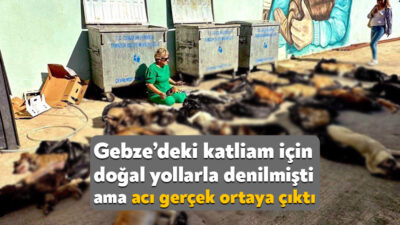 Gebze’de 11 Ekim’de meydana gelen olayda çöp poşetlerine konulmuş halde