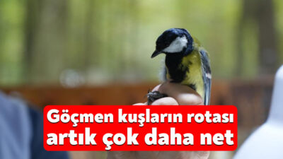 Avrupa'nın en büyük doğal yaşam parkı Ormanya'da kurulan kuş halkalama