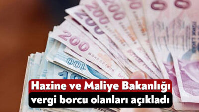 Hazine ve Maliye Bakanlığı Gelir İdaresi Başkanlığı vergi borucu 5