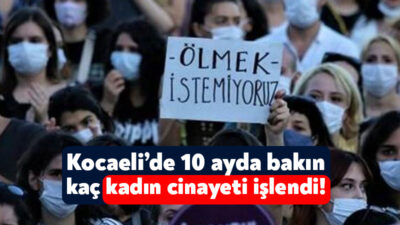 Kadın Cinayetlerini Durduracağız Platformu, her ay düzenli olarak kadın cinayetlerine