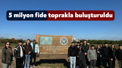 Kocaeli Büyükşehir Belediyesi’nin Tıbbi ve Aromatik Bitkiler Projesi (TABİP) kapsamında