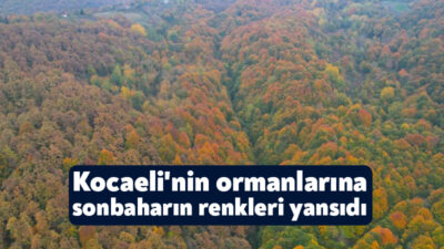 Sonbaharın gelişi ile ormanlar adeta tabloya döndü. Mevsimin tüm renkleri