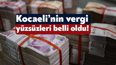 Hazine ve Maliye Bakanlığı Gelir İdaresi Başkanlığı vergi borucu 5