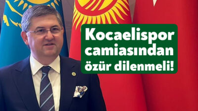 28.Dönem CHP Kocaeli Milletvekili Harun Özgür Yıldızlı, TBMM Genel Kurulunda