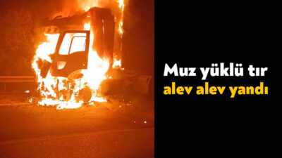 TEM otoyolu Kartepe geçişinde muz yüklü tır alev alev yandı.