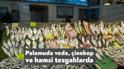 Kocaeli'de palamut sezonunun bittiği balık tezgahlarında, hamsi ve çinekop rağbet