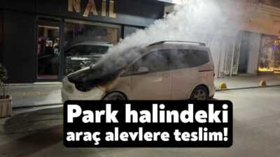 Kocaeli'nin Gölcük ilçesinde park halindeki hafif ticari araçta çıkan yangın