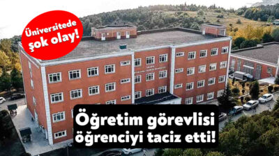 Sakarya Uygulamalı Bilimler Üniversitesi’nin Geyve’deki meslek yüksek okulunda öğretim görevlisi