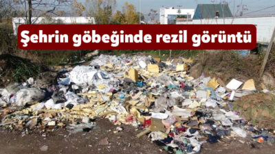 Kocaeli'nin İzmit ilçesindeki Sanayi Mahallesi'nde bulunan boş arazi ve yollar