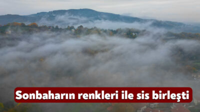 Kocaeli'de sonbaharın renkleri eşsiz manzaralar ortaya çıkarmaya devam ediyor. Kentin