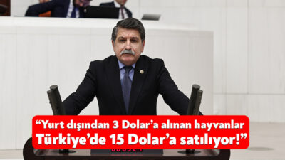 CHP Kocaeli Milletvekili Prof. Dr. Muhip Kanko mecliste yaptığı konuşmada