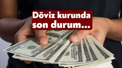 Döviz kurları, son dönemde küresel ve yerel ekonomik etkenlerin etkisiyle