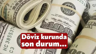 Türkiye ekonomisinin başlıca göstergelerinden biri olan döviz kurları, küresel gelişmeler,