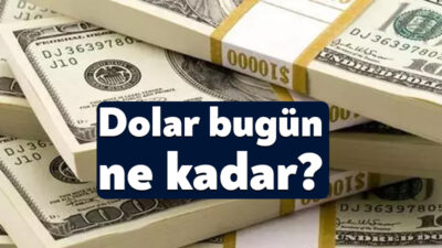 19 Aralık 2024 Perşembe günü itibarıyla döviz kurları, yatırımcıların ve