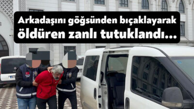 Kocaeli'nin Körfez ilçesinde yanında çalışan arkadaşını göğsünden bıçaklayarak öldüren zanlı,