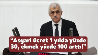 DEM Parti Kocaeli Milletvekili Ömer Faruk Gergerlioğlu, Genel kurulda yaptığı