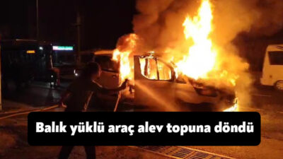 Kocaeli'nin Karamürsel ilçesinde seyir halindeki balık yüklü araç alev topuna