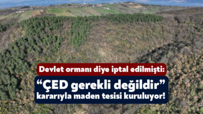 Kocaeli Büyükşehir Belediyesi’nin Karamürsel’de kurmak istediği fakat devlet orman arazi