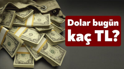 Dolar ve euro başta olmak üzere yabancı para birimleri, yerel