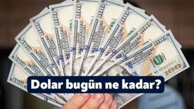 Son dönemde meydana gelen olayların ardından yatırımcılar ve vatandaşlar döviz