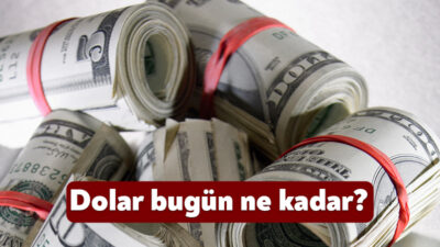 Son dönemde hem küresel hem de yerel ekonomik gelişmeler döviz