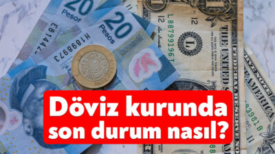 Dünyada ve Türkiye’de yaşanan gelişmeler, döviz kurundaki dalgalanmaların yatırımcılar ve
